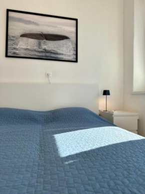 Apartma Nona Ana